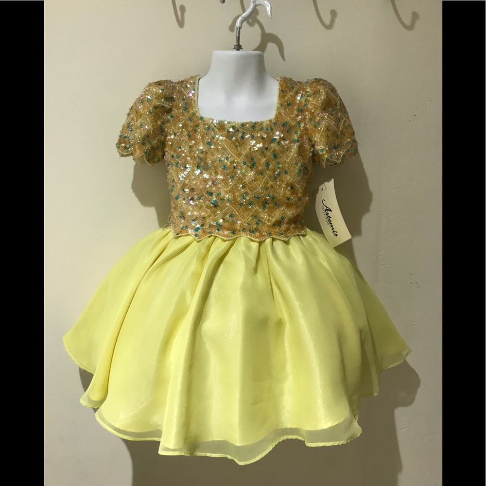 Size 4 Pageant Crowning special occasion Dress NWT